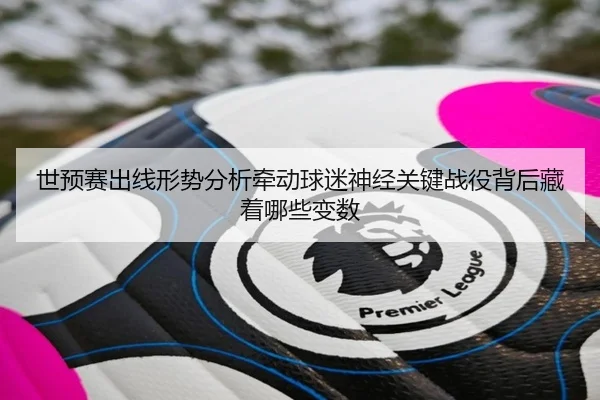 世预赛出线形势分析牵动球迷神经关键战役背后藏着哪些变数 | xingkongyule